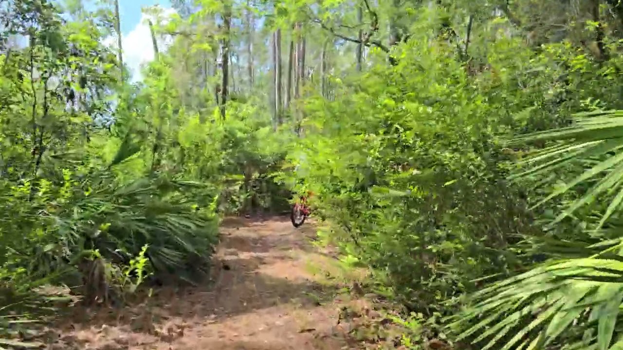 Salsa trail ride at Cedar Point, Jacksonville