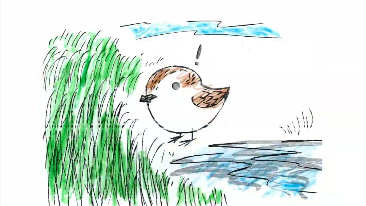 The Journey of Spoon-billed Sandpiper