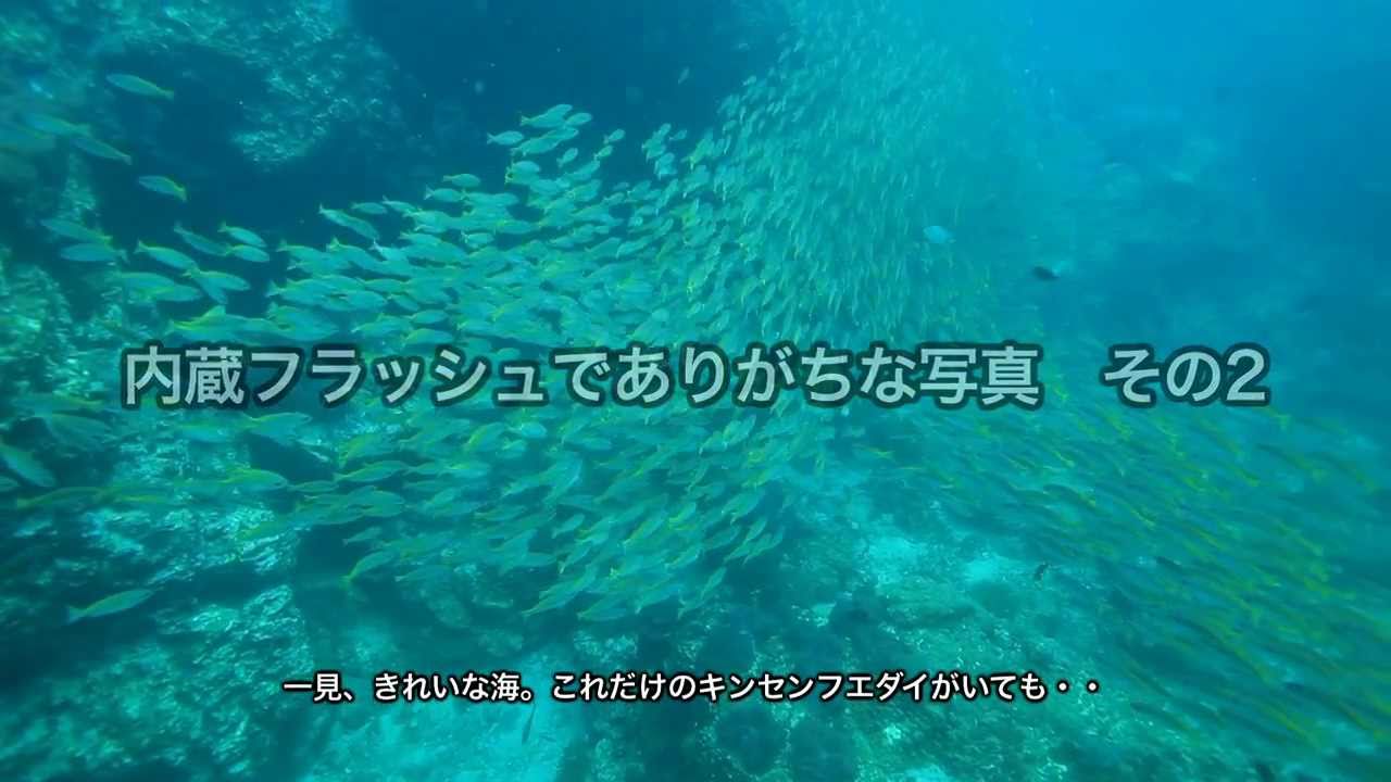 （フルバージョン）水中ストロボの基礎 早解りガイド