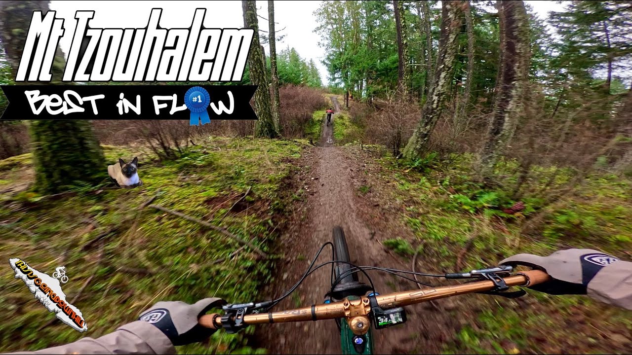Mountain Biking on Vancouver Island - Best in Flow🥇- Mt Tzouhalem