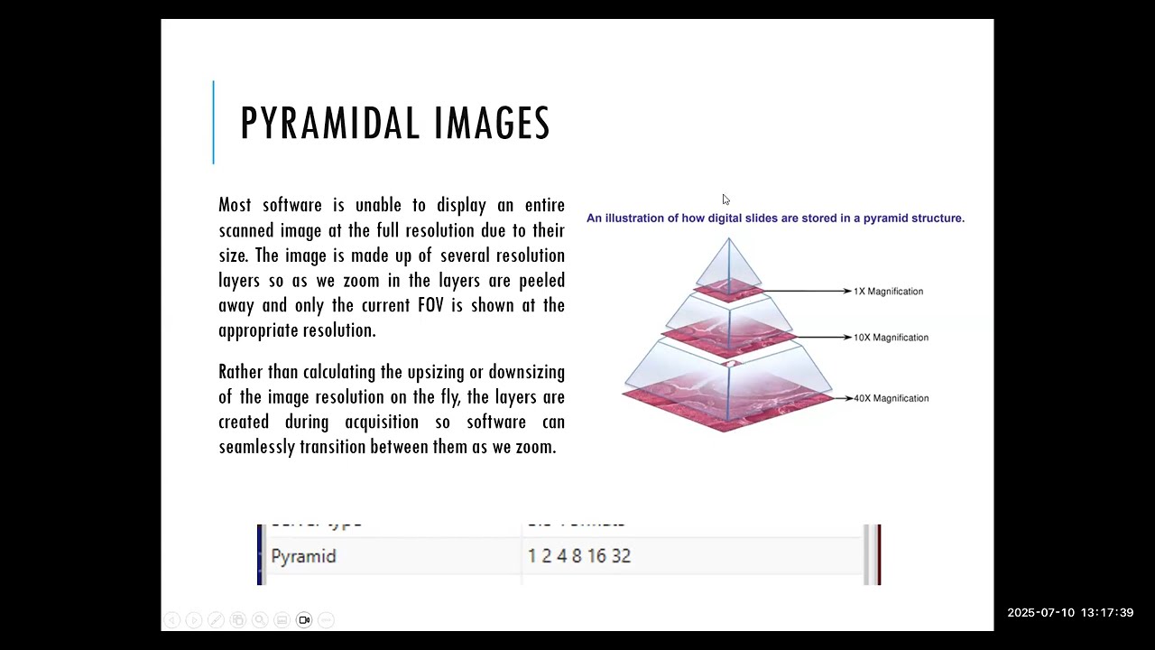 Fundamentals of QuPath (Part 1) -  Introduction to QuPath