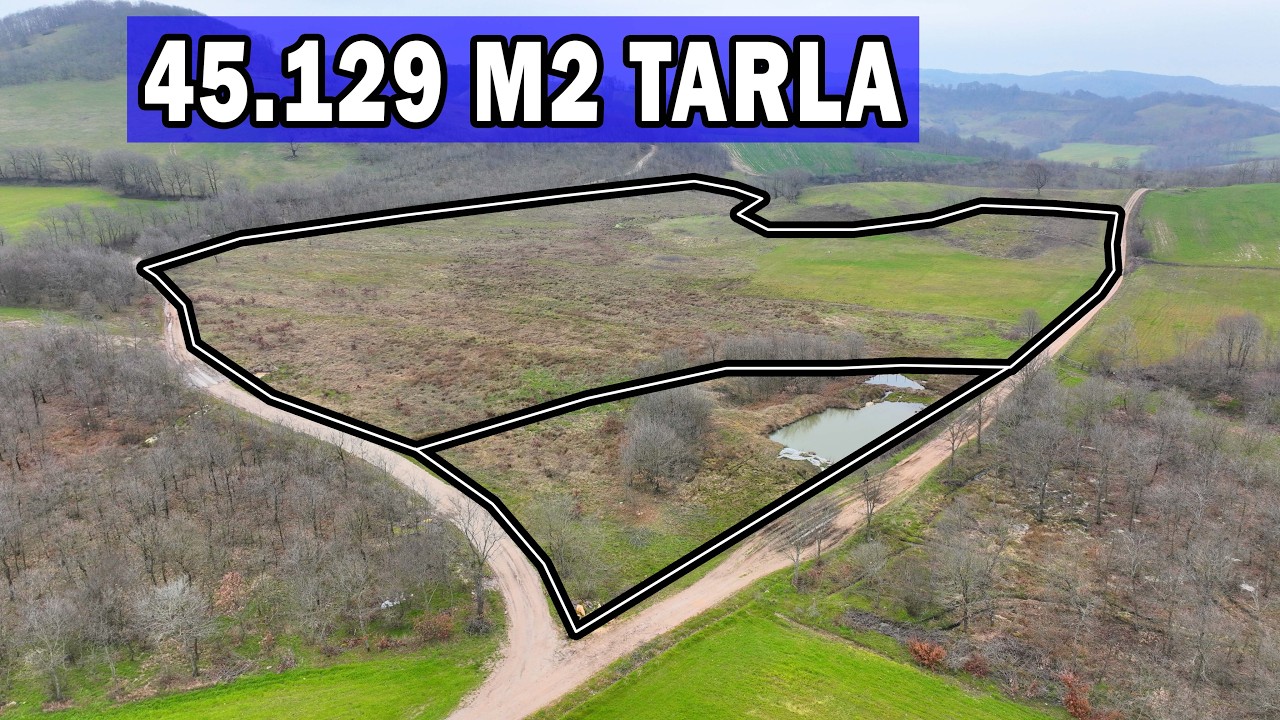 Kocapınar Mahallesinde 45.129 m2 Resmi Yola Cephe Tarla
