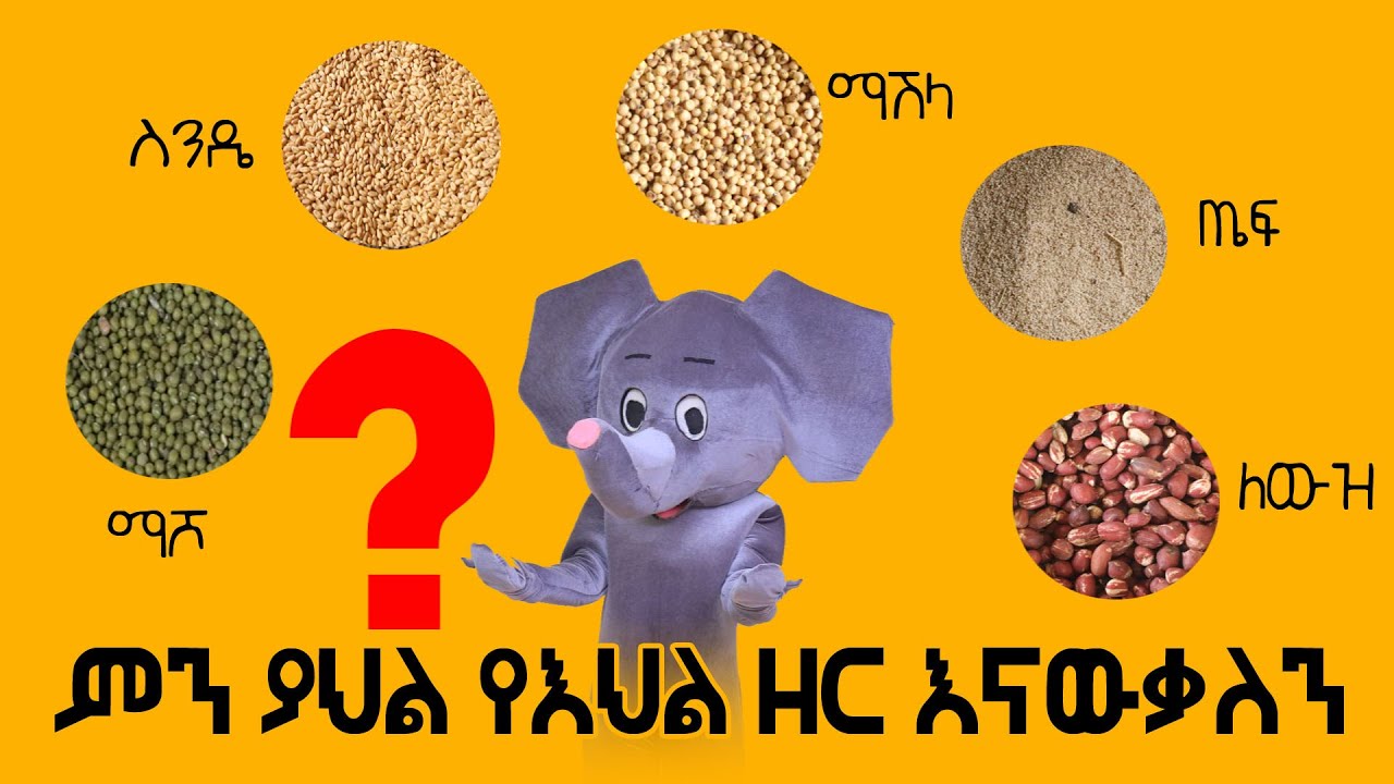 ምን ያህል የእህል ዘር እናውቃለን?/How many grains do we know?