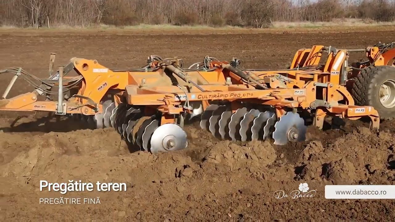 Da Bacco - Pregătire fină teren pentru plantație de viță de vie | Tractor și combinator