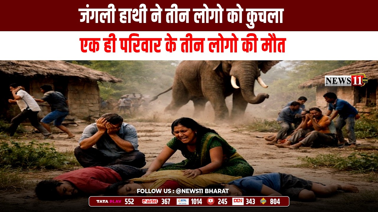 बोकारो: जंगली हाथी ने तीन लोगो को कुचला, एक ही परिवार के तीन लोगो की मौत