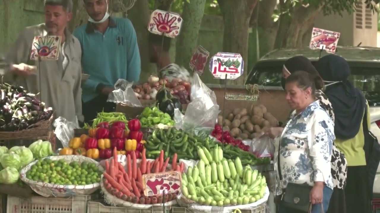 Dollar shortage hobbles Egypt's economy