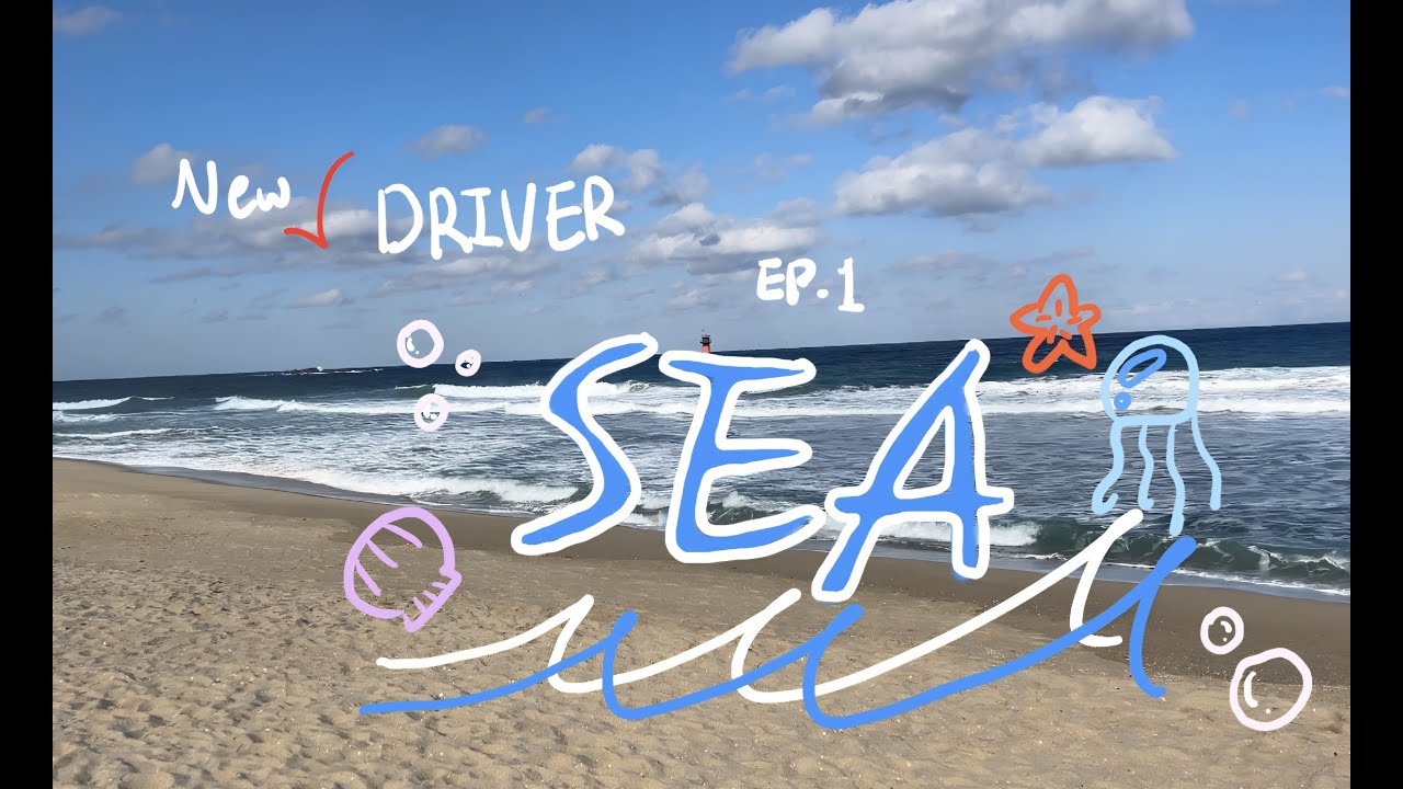 [DRIVE] 초보운전 Ep.1 바다 🌊 💙 / STEMPED ✅ (SEA🌊)