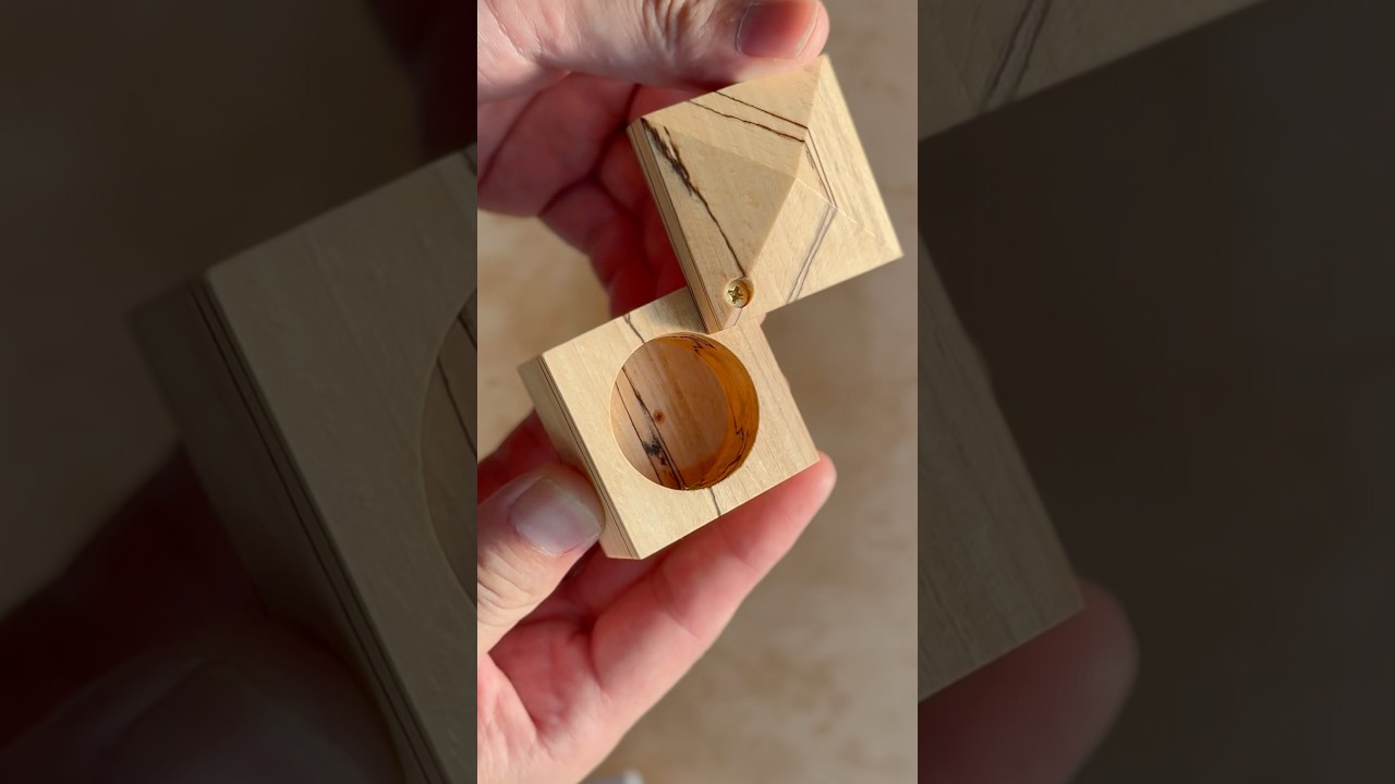 How to Make a Box with a Unique Lid  #shorts #woodworking #diy