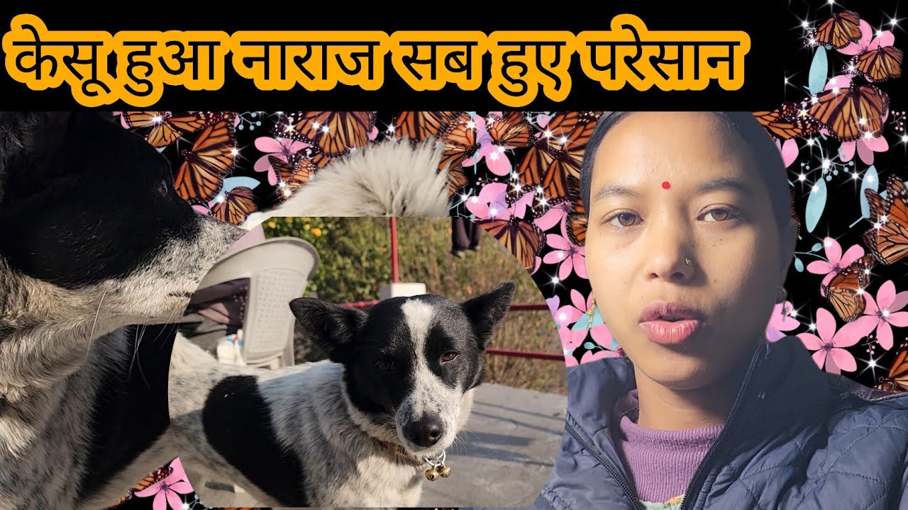 केसू हुआ नाराज सब हुए परेसान 