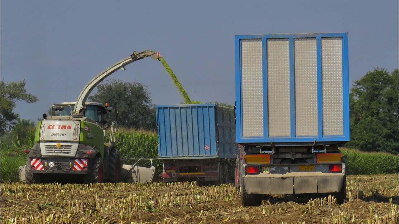 11x Tractors| Insilato mais 2020 | Fendt + Massey Ferguson + Steyr + Deutz Fahr + McCormick| Mattara