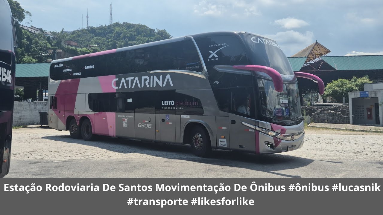 Estação Rodoviaria De Santos Movimentação De Ônibus #ônibus #lucasnik #transporte #likesforlike 