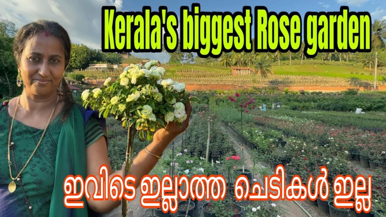 100-ൽ പരം വ്യത്യസ്ത ഇനം റോസാ പൂക്കളുമായി ഒരു Garden....Kuzhippalam botanical garden|Trivandrum|