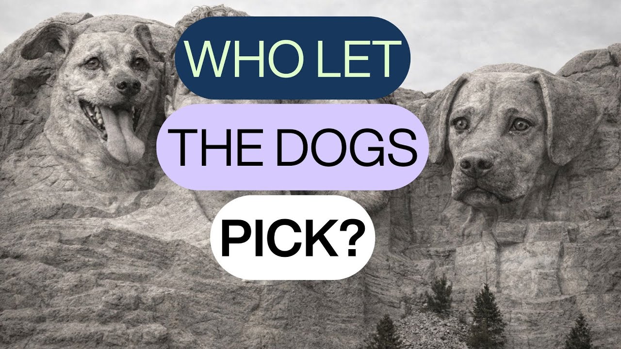 Canine Super Bowl LX Selection Show | Carved in Stone | Episode 12.5