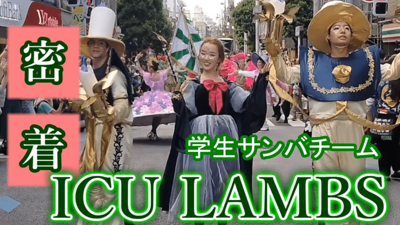 [密着]学生サンバチームICU LAMBS-浅草サンバカーニバルへの挑戦- 【ブラジル日記#21】