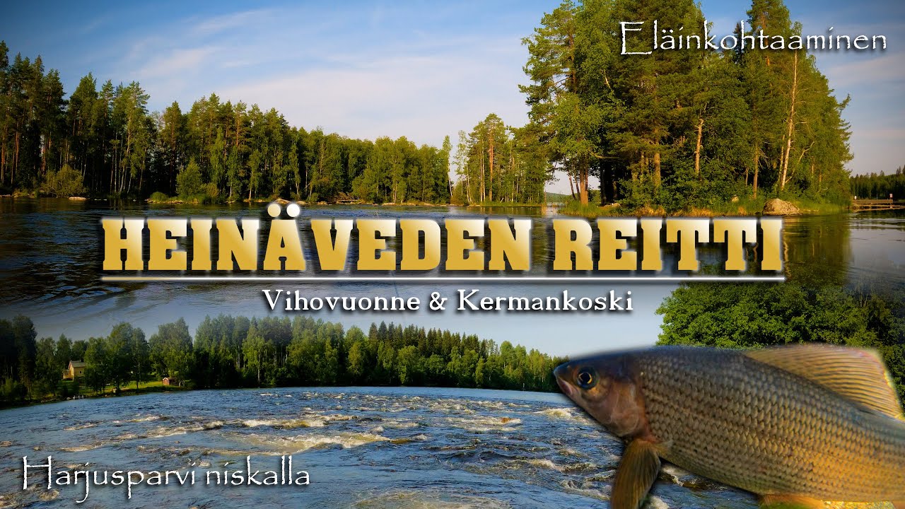 Heinäveden reitti - Vihovuonne & Kermankoski