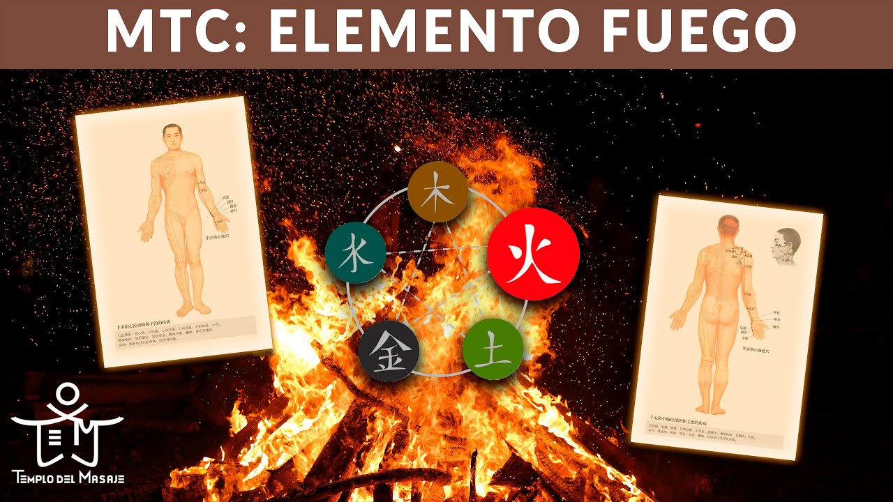 ELEMENTO FUEGO 🔥 Canal del INTESTINO DELGADO y Canal del CORAZÓN con sus PUNTOS MÁS IMPORTANTES ✨