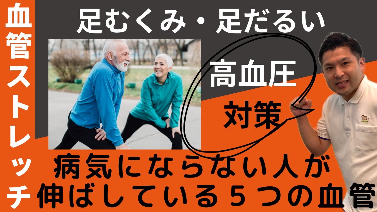 高血圧・足のむくみ・足のだるさ・手足の冷え【血管ストレッチ】でゴースト血管を治す！高齢者でも出来る～足の筋肉ストレッチ５選～