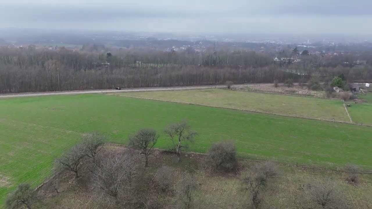 Hallerbos by drone DJI Mini 4 Pro