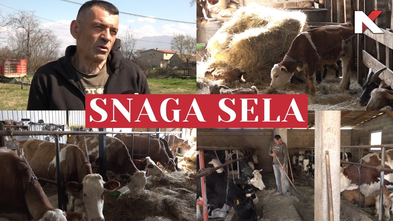 SNAGA  SELA: Dragoslav Džoganović 15. 03. 2026.