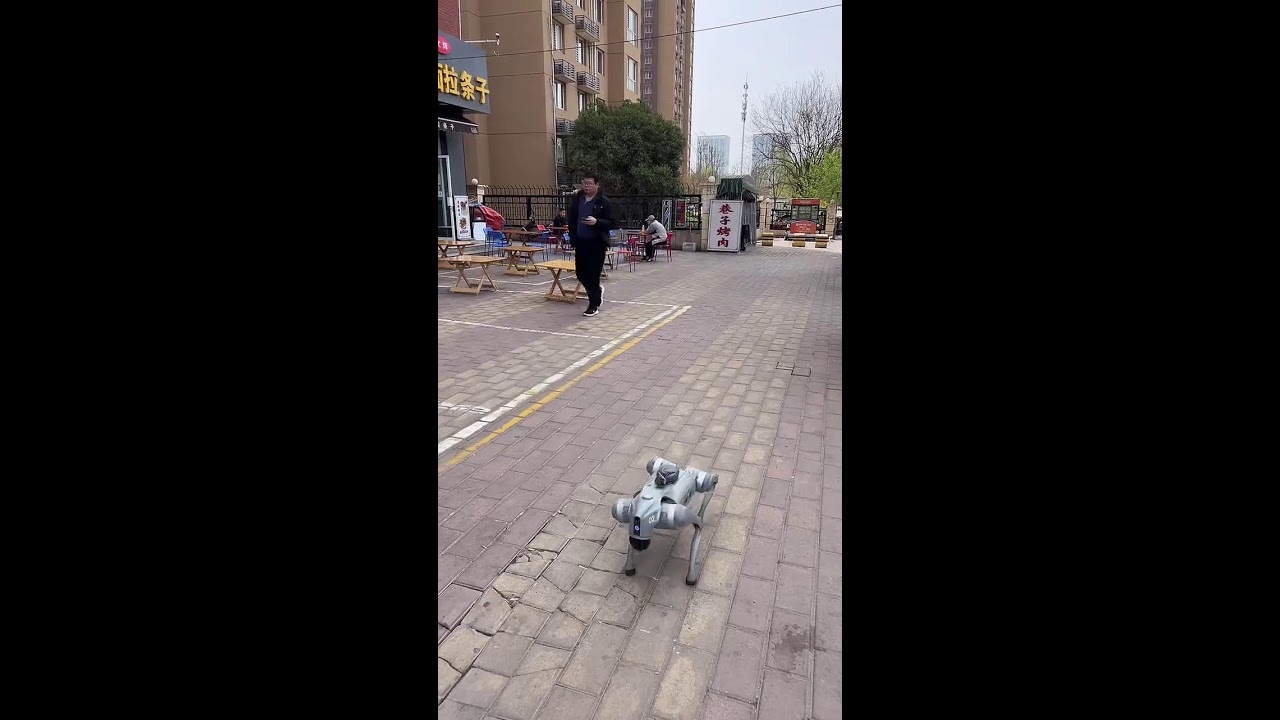 智能机器人 | LiveBot |ライブロボ 2026-04-03 09:43:55