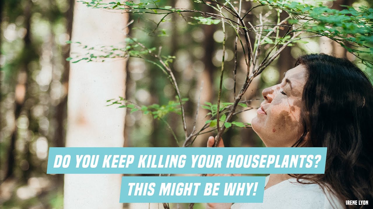 Do you keep killing your houseplants? This might be why!