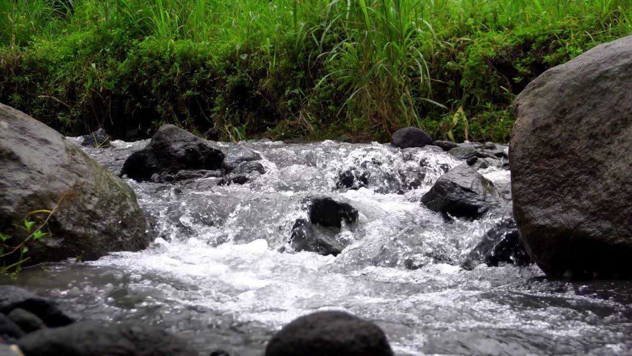 1 Hour of flowing river sounds for sleeping, relaxation, work, study. Relaxing video river sounds