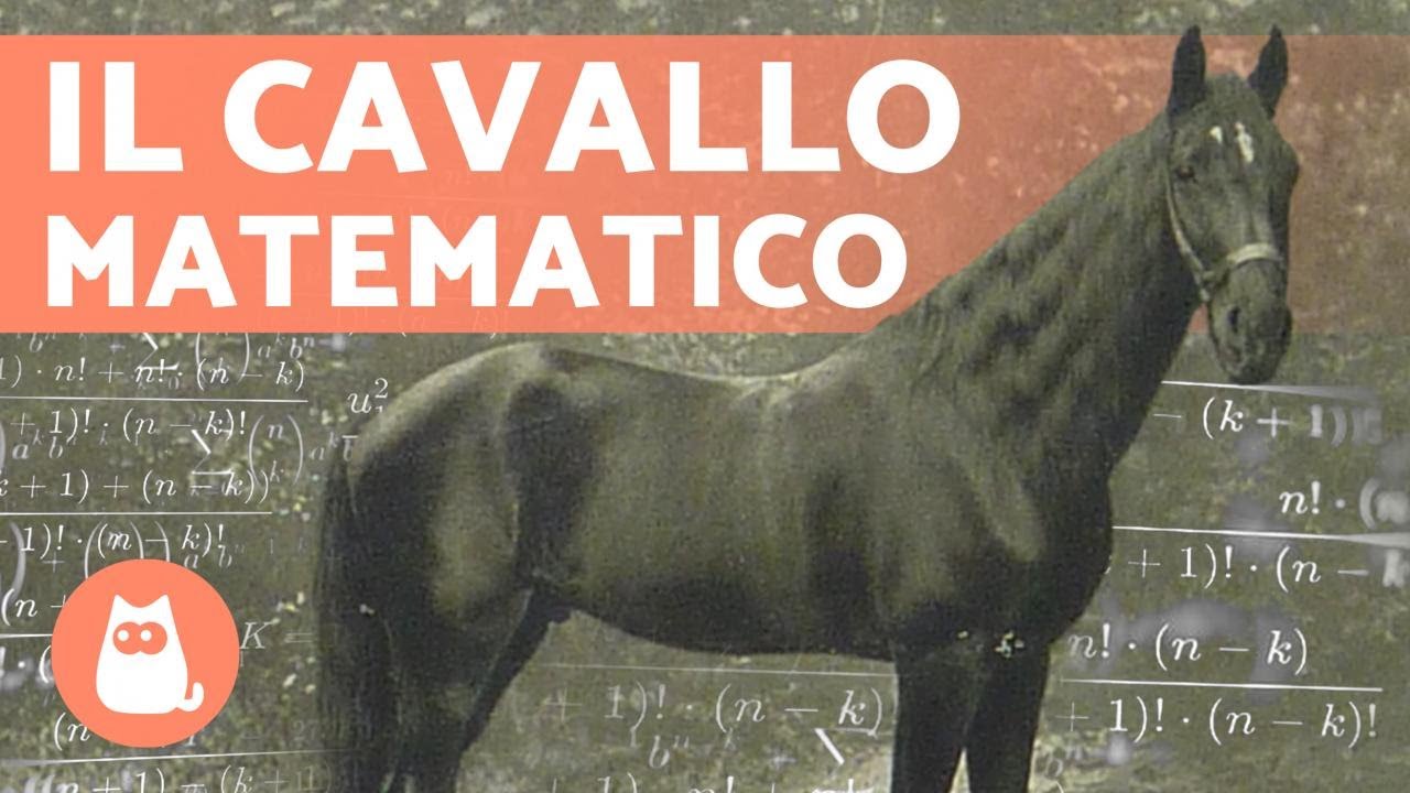 IL CAVALLO che impar&ograve; la MATEMATICA ➕ (HANS l'intelligente)