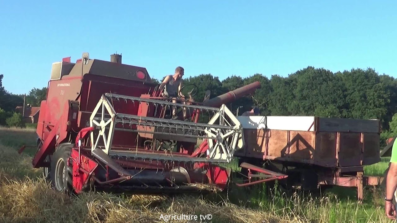 Triticale Harvest-International 321+International 745XL-Triticale dorsen-Landbouwwerken Sools-2019