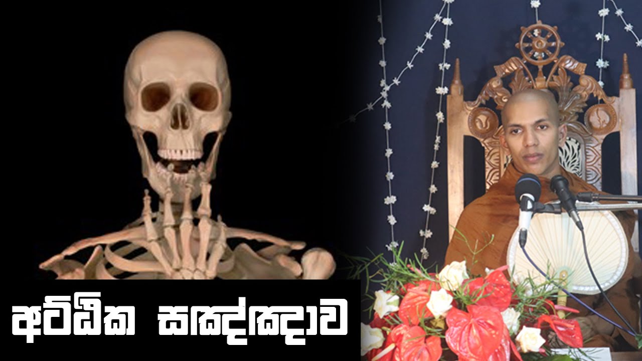 අට්ඨික විපස්සනාව | 01 වන කමටහන් දේශණාව | Ven.Kirulapana Dhammawijaya Thero