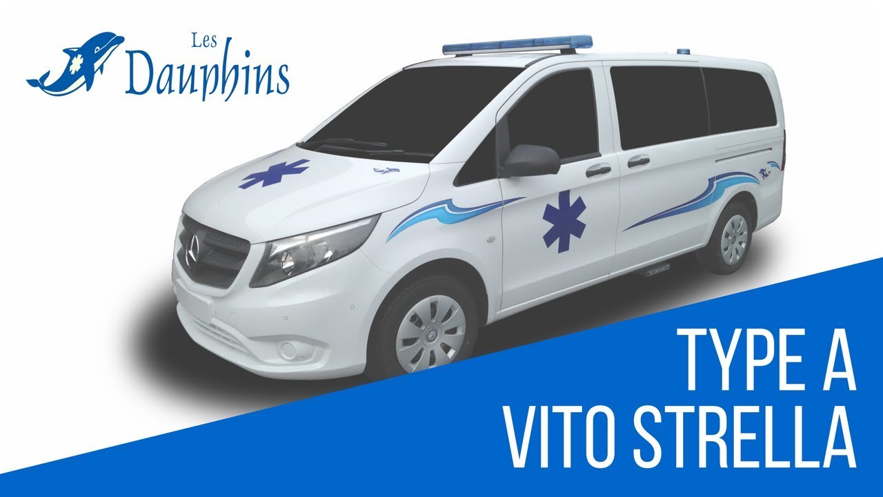 Les Dauphins, Présentation Mercedes VITO Type A1