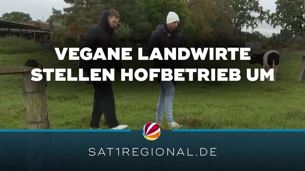 Vegane Brüder stellen Milchviehbetrieb auf Gemüse um