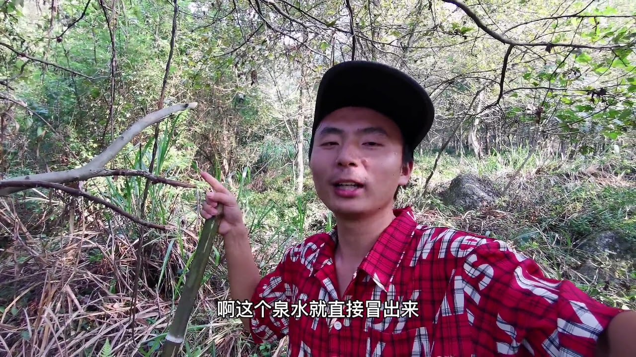 旱季时期，我给养鸡棚接了根山泉水管