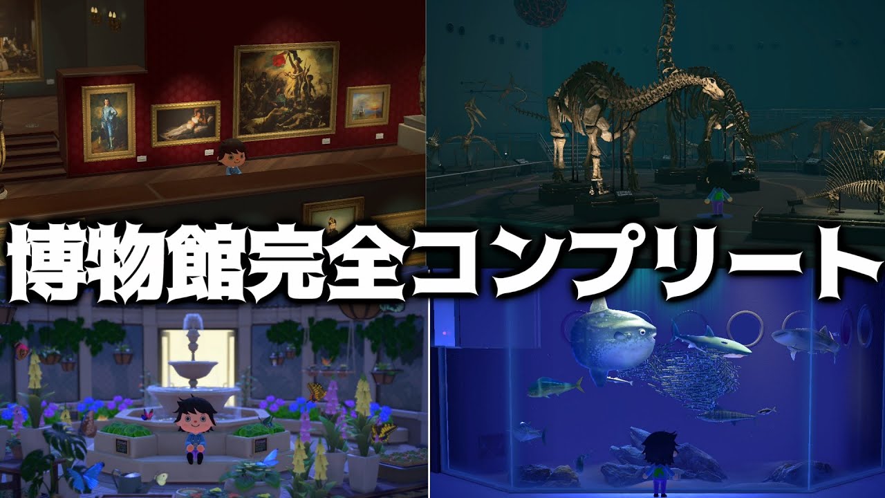 【あつ森】博物館を完全コンプリートしたらもらえる物ってあんの？【あつまれどうぶつの森】
