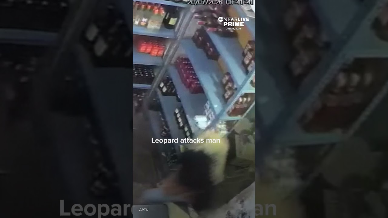 Леопард напал на человека в магазине в Индии