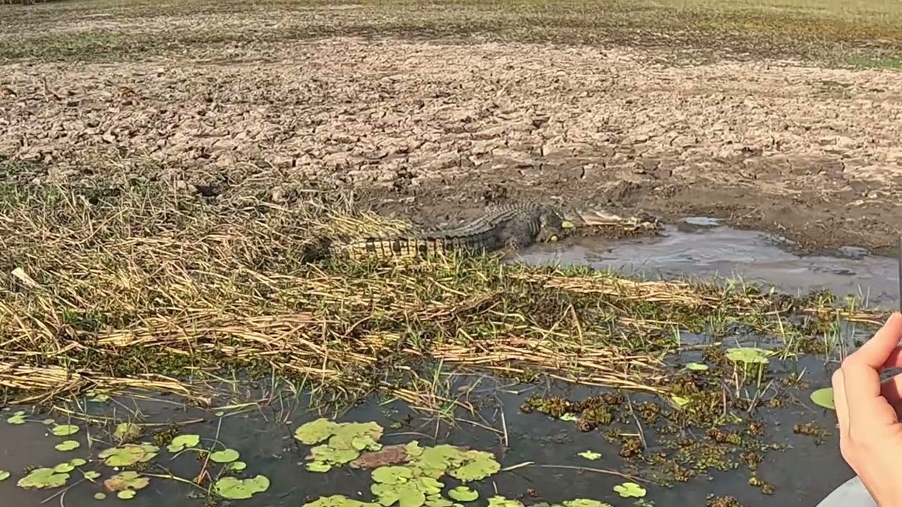 Northern Territory Dreaming - Part 1 - Kakadu