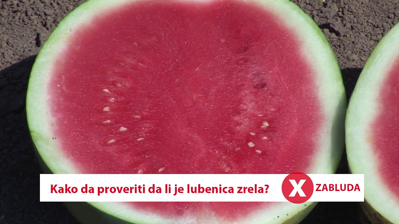 Zablude: Kada je lubenica zrela?