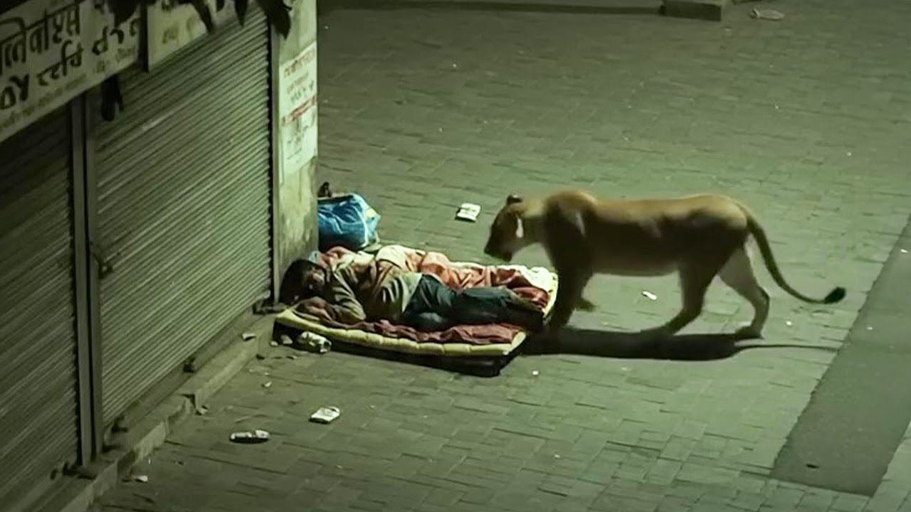 &Ccedil;a A Vraiment &Eacute;t&eacute; Film&eacute; Par une Cam&eacute;ra
