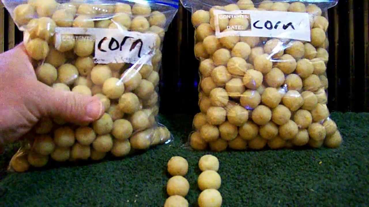 Carp Bait - Corn Bread Boilie #1