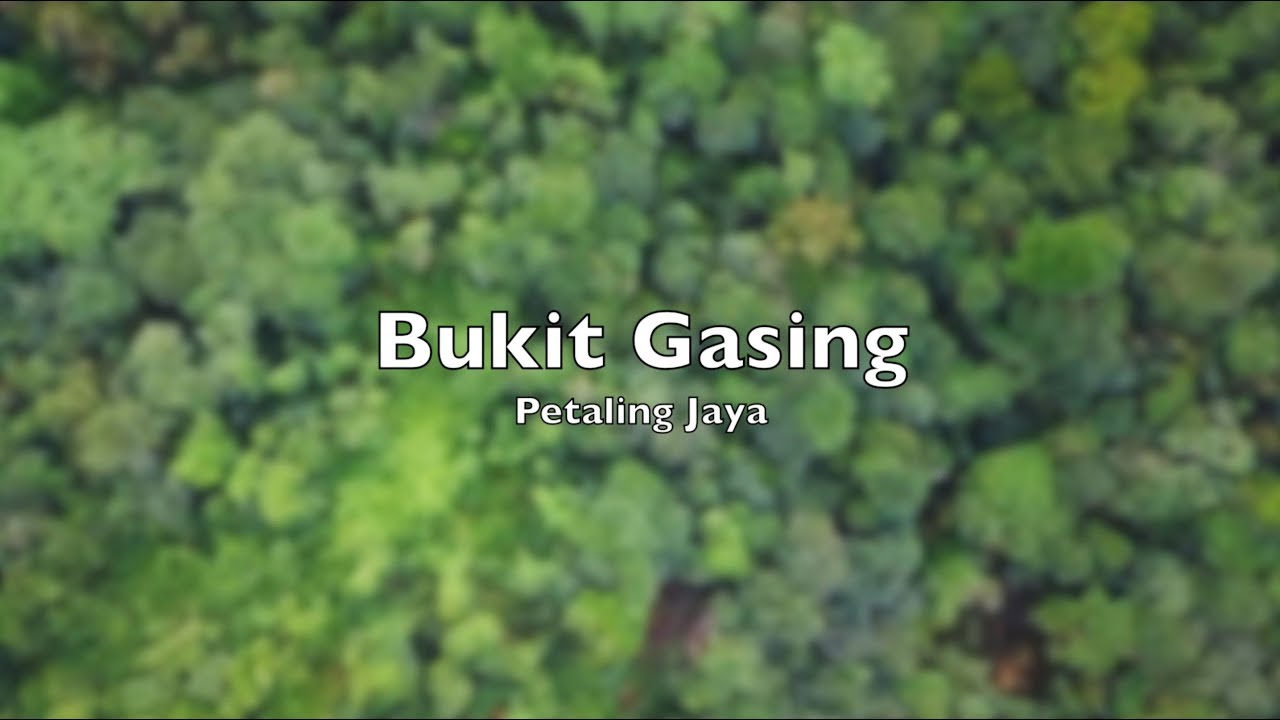 Bukit Gasing Morning Hike (Drone Aerial View)