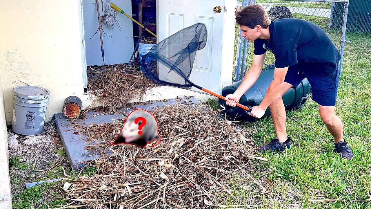 UNCOVERING MASSIVE ANIMAL NEST IN MY GRANDMAS HOUSE ! WHAT IS IT ?!