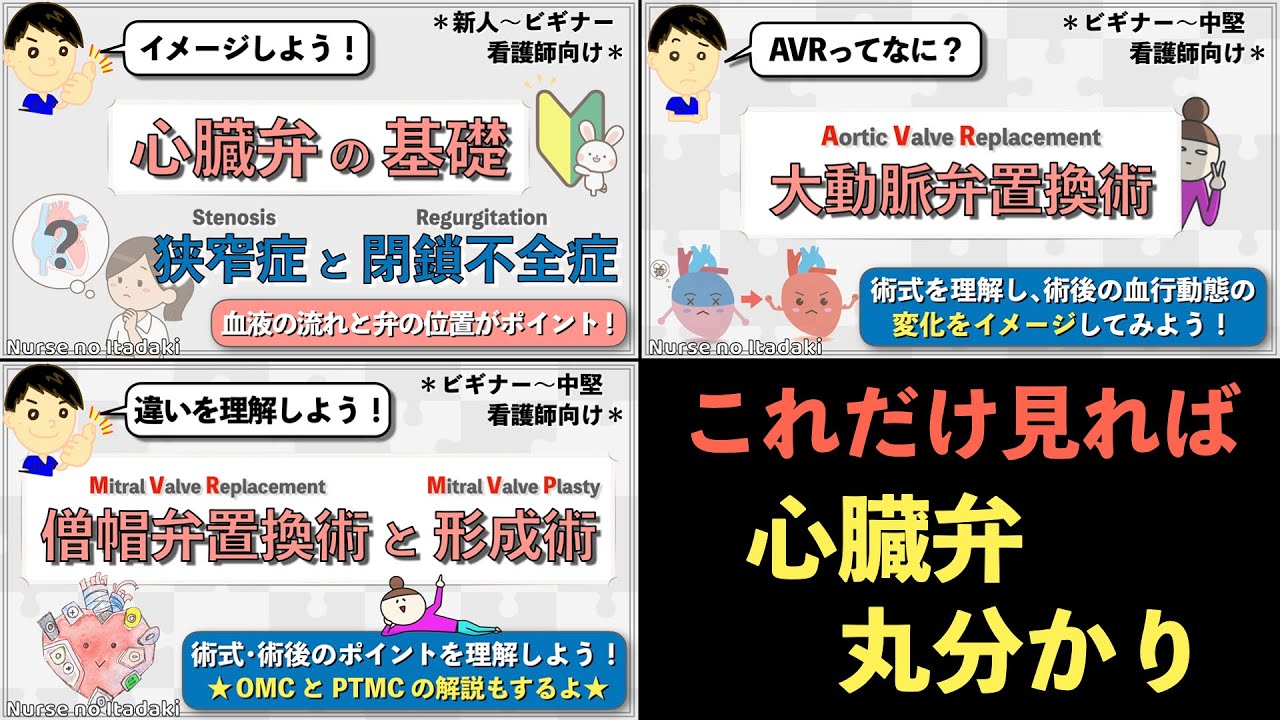 【心臓弁について総復習！】心臓弁の基礎､大動脈弁や僧帽弁､弁膜症までまるわかり！