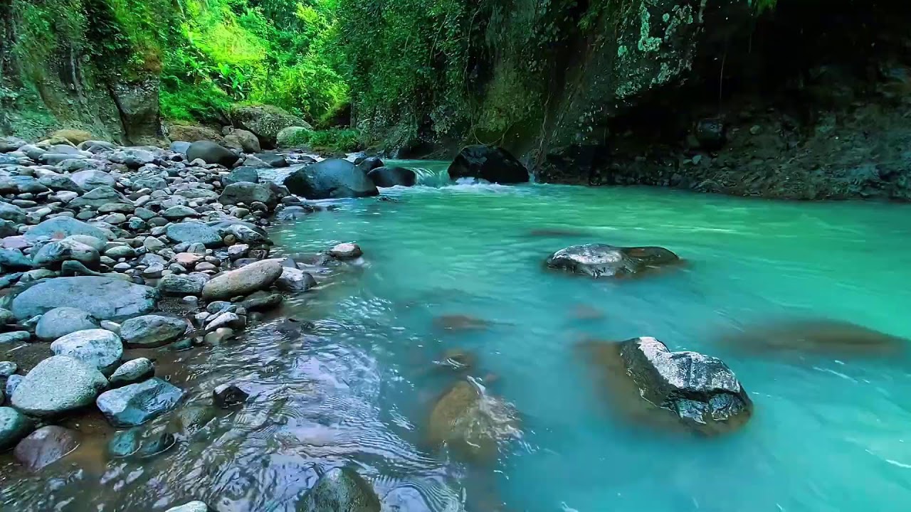 Forest River Flowing Water, Mountain Stream Audio, Sleeping