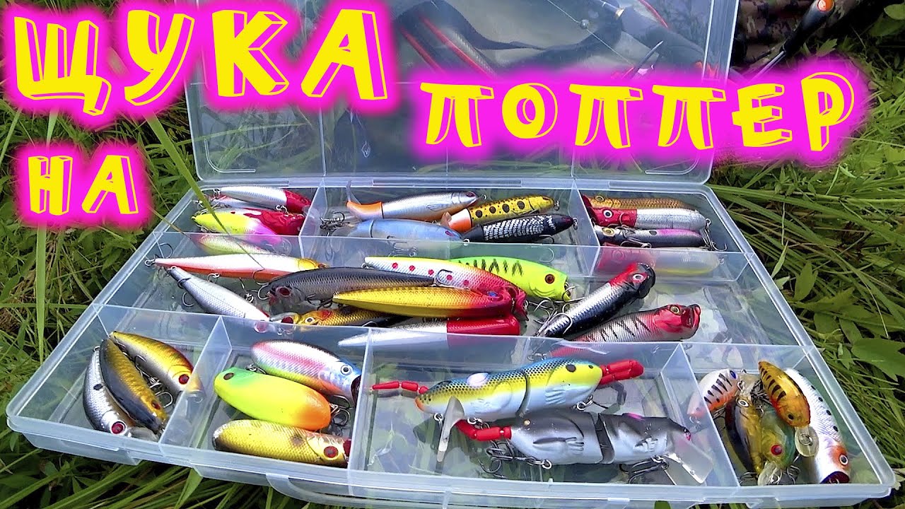 Ловля ЩУКИ на ПОВЕРХНОСТНЫЕ ПРИМАНКИ. Нашёл КЛЮЧ К УСПЕХУ. СЕРЕБРИСТЫЙ БОЧОНОК ЛУПИТ ЩУК В БОЛОТЕ.