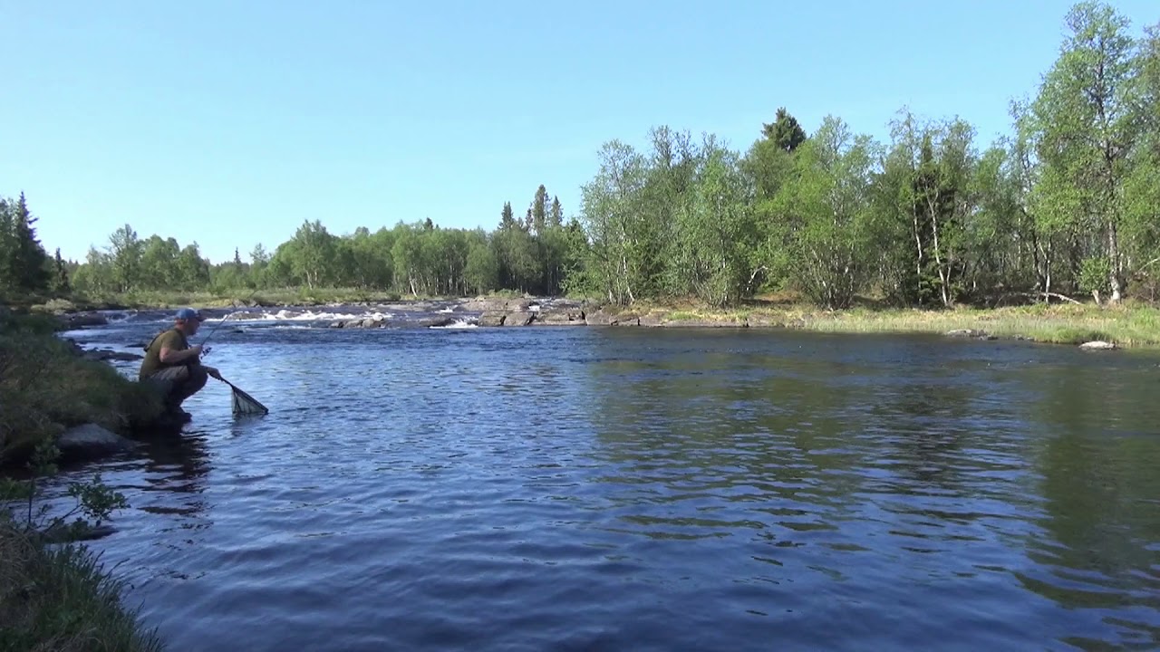 Aktivt markfiske i Tisleia 2018 [Ørretfiske] [Valdres] [Vasetdansen]