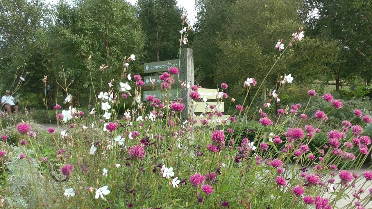 Colourful Hyde Hall