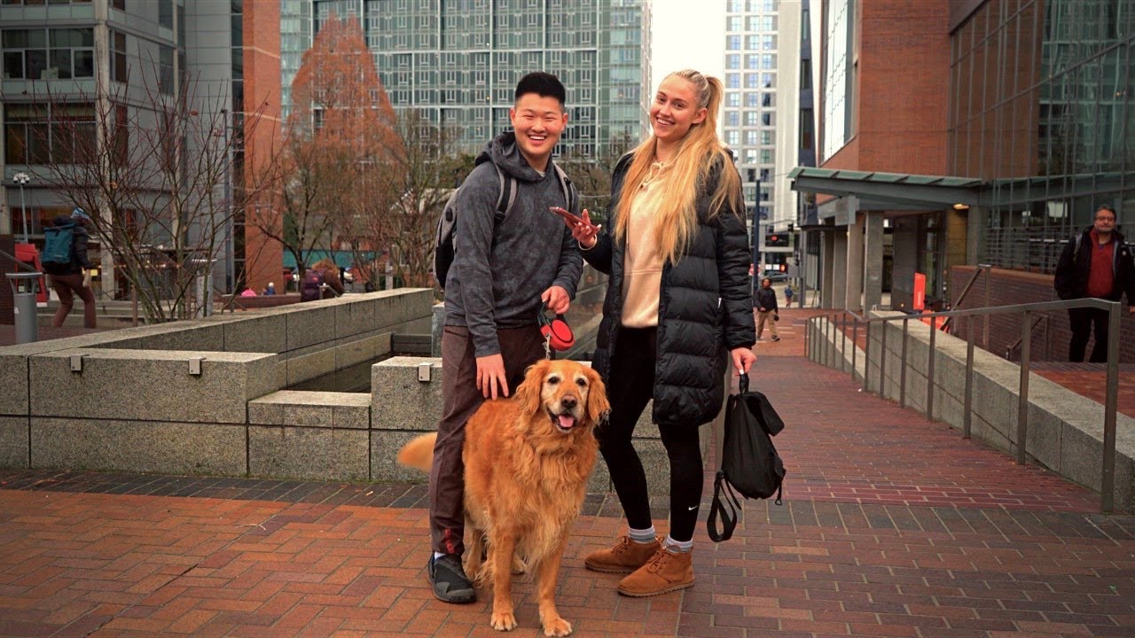 Picking Up Girls With My Golden Retriever