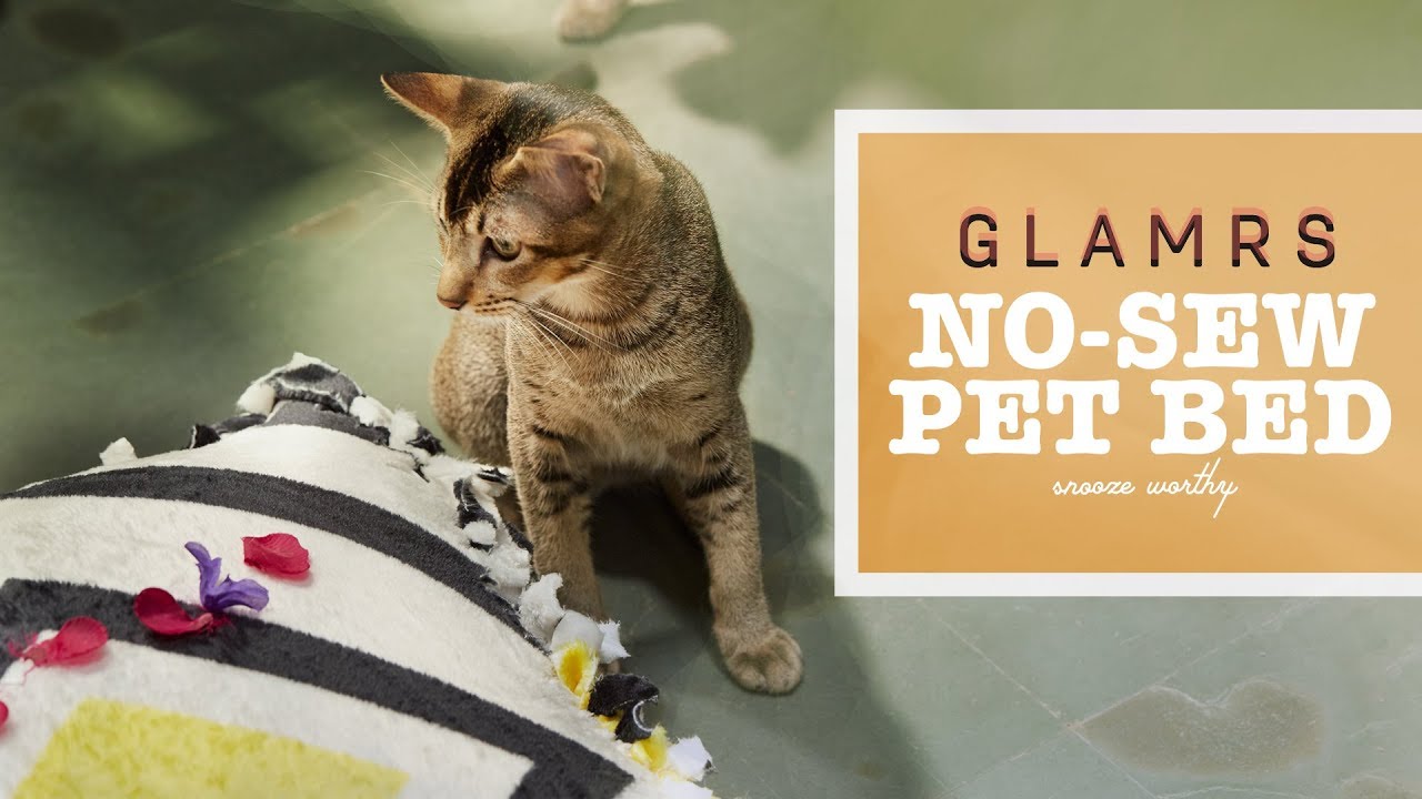 DIY No-Sew, No Glue PET BED - Easy and Cheap | How To Make a Bed for Pets Tutorial