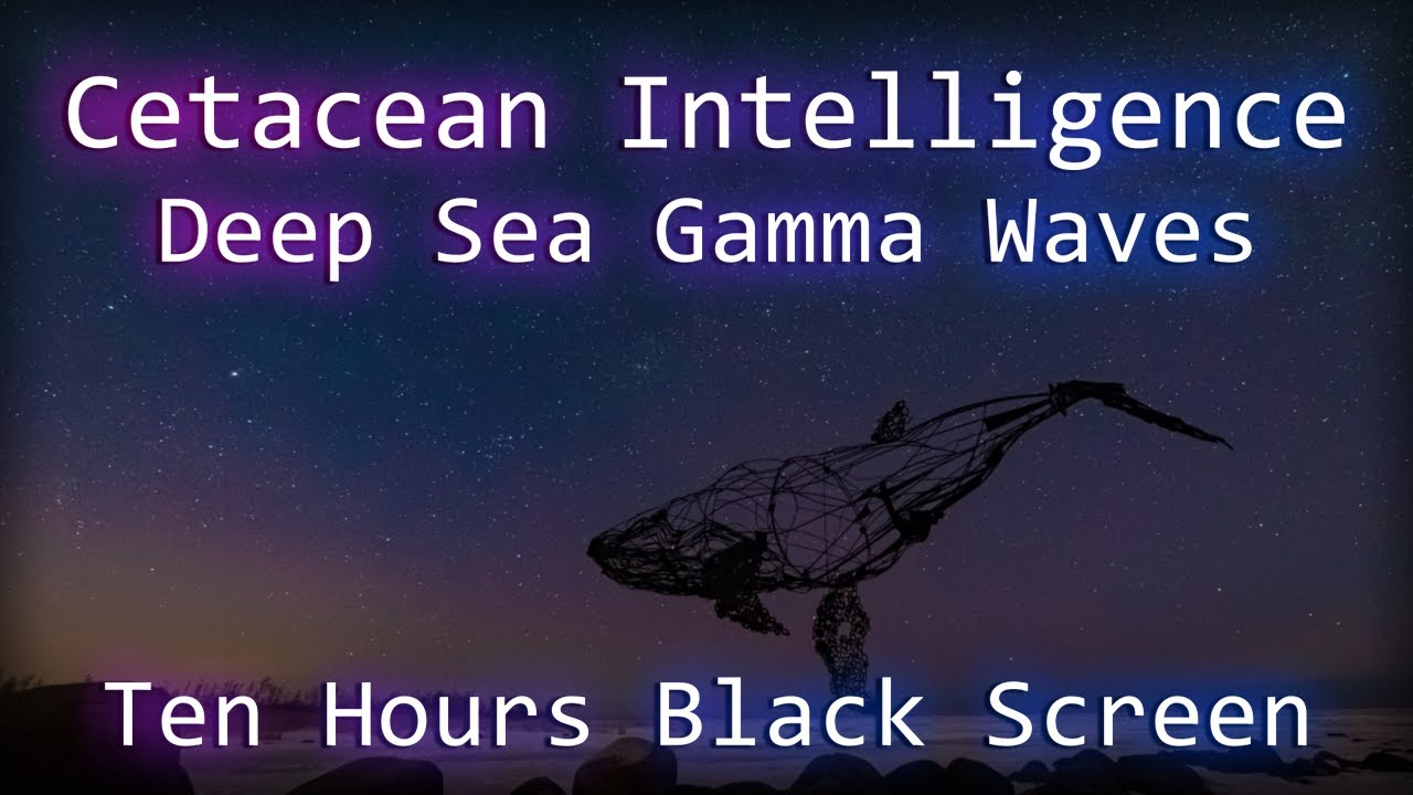 37 Hz Gamma Waves | Aquatic Ambiance | Ten Hours Black Screen