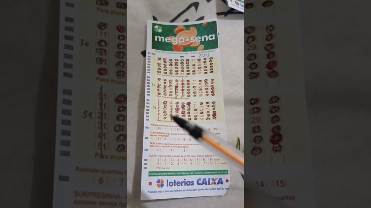 mega sena 2503 colunas