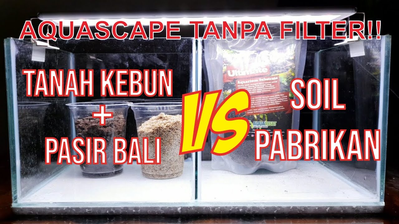 MENANG MANA SIH? Tanah Kebun + Pasir VS Soil Pabrikan Merk Ultimate Soil di aquascape TANPA FILTER!